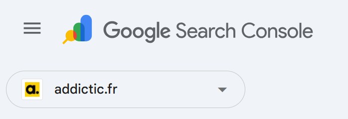 Rendu logo Google Search Console