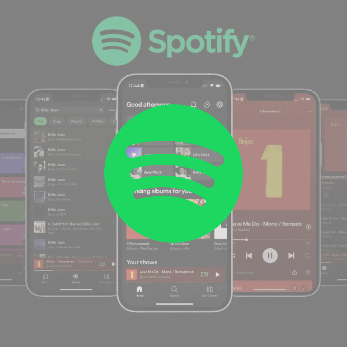 Spotify charte graphique